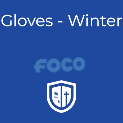 Gloves - Winter