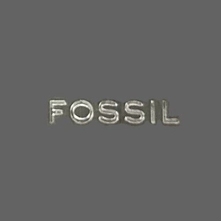 Fossil