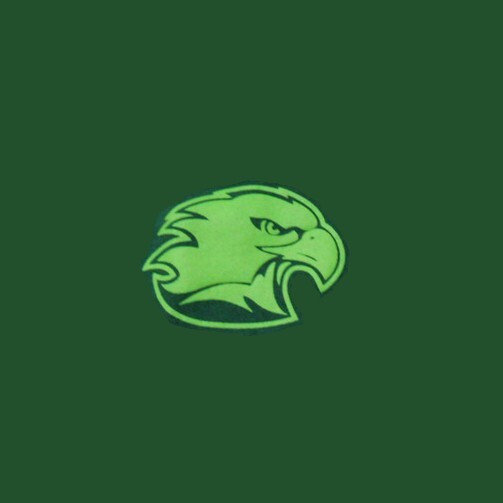 Life Running Eagles