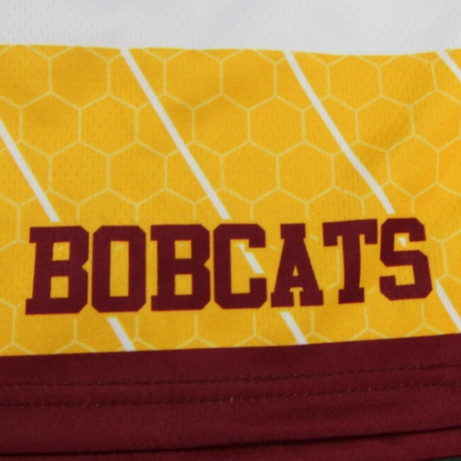 Saddleback Bobcats