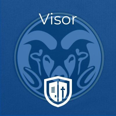 Visor
