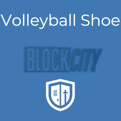 Volleyball Shoe