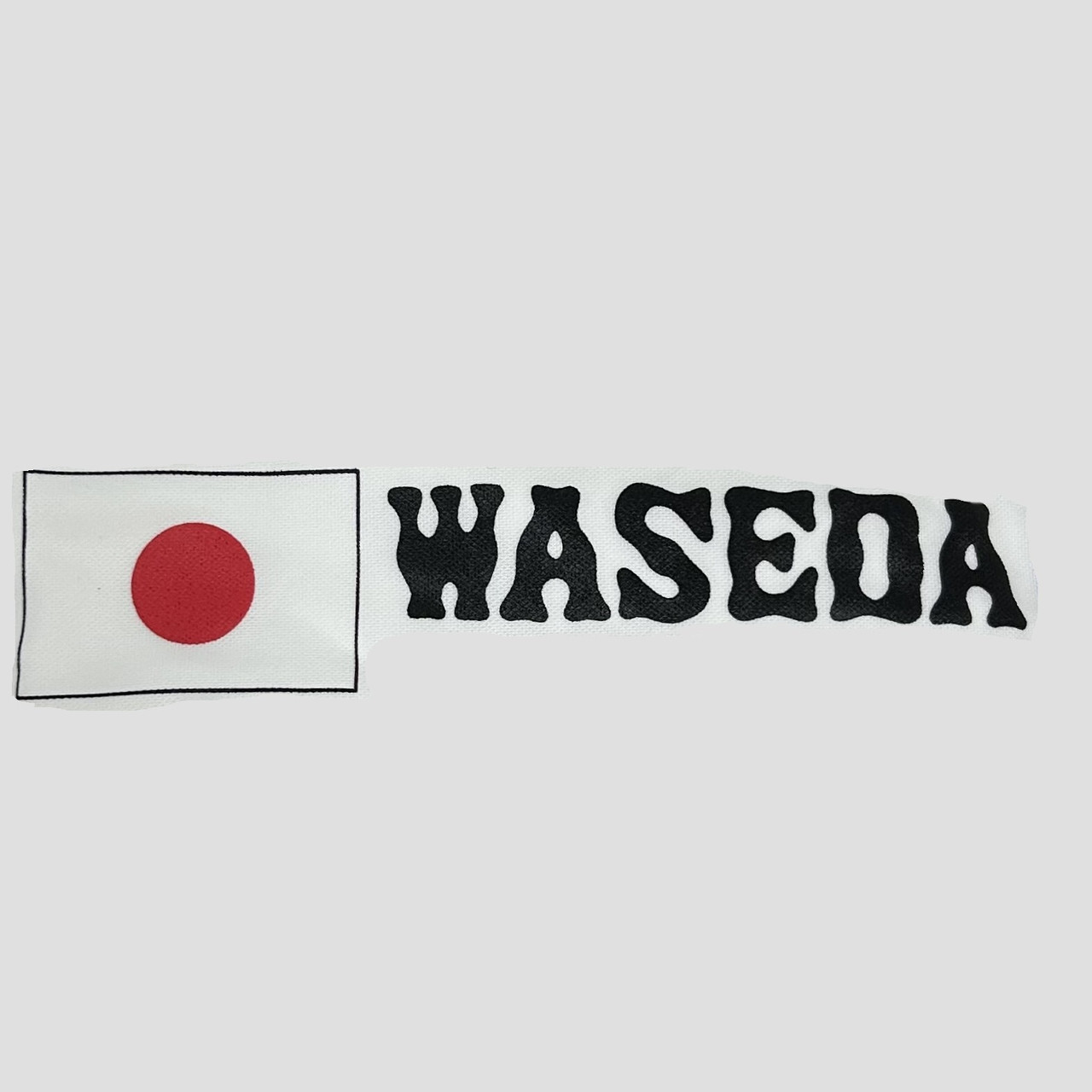 Waseda Bears