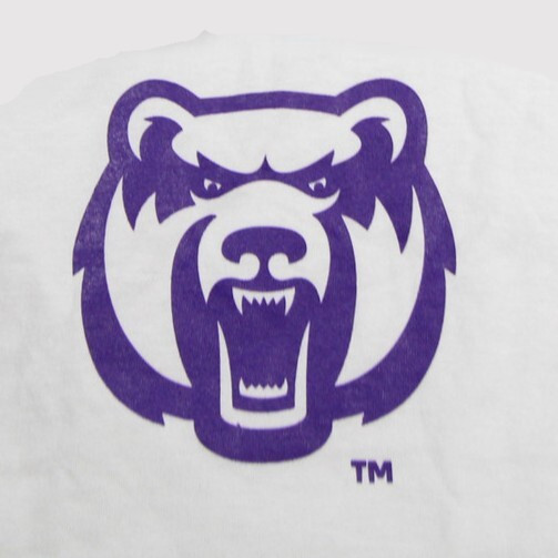 Central Arkansas Bears