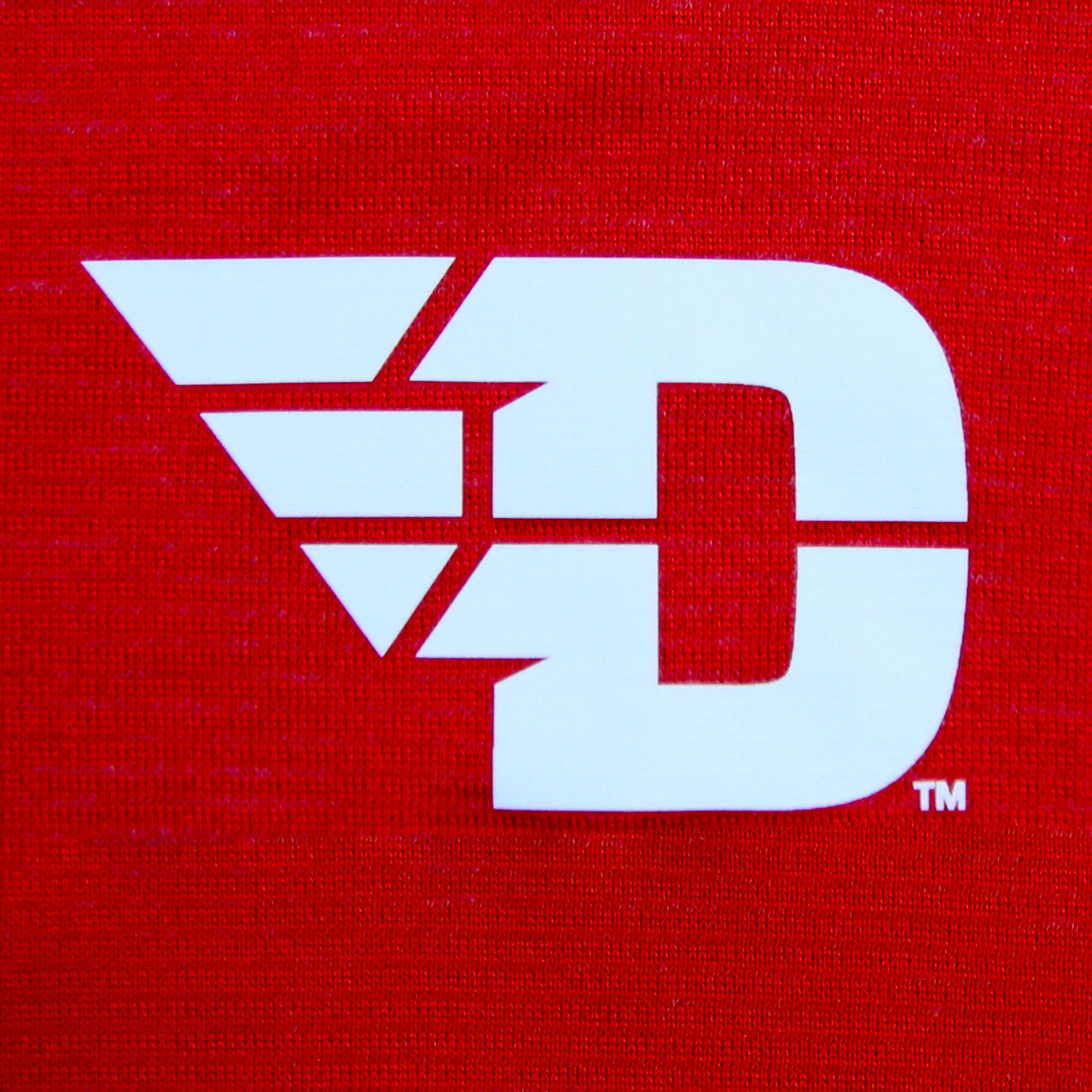 Dayton Flyers