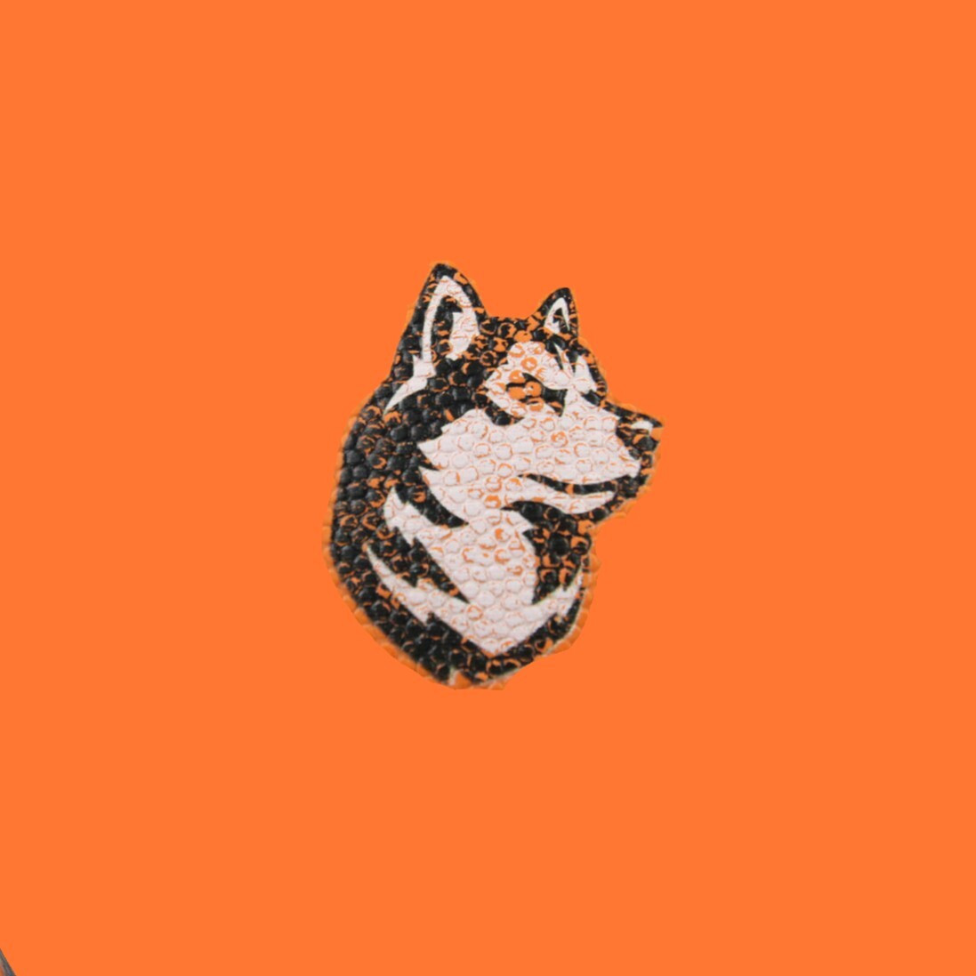 Northeastern Huskies