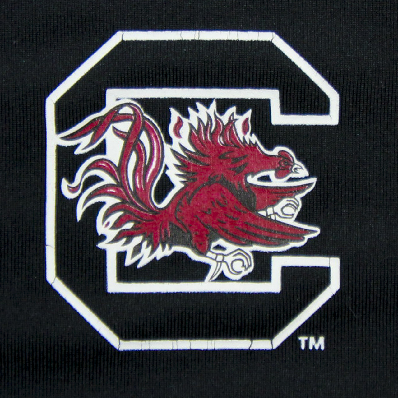 South Carolina Gamecocks