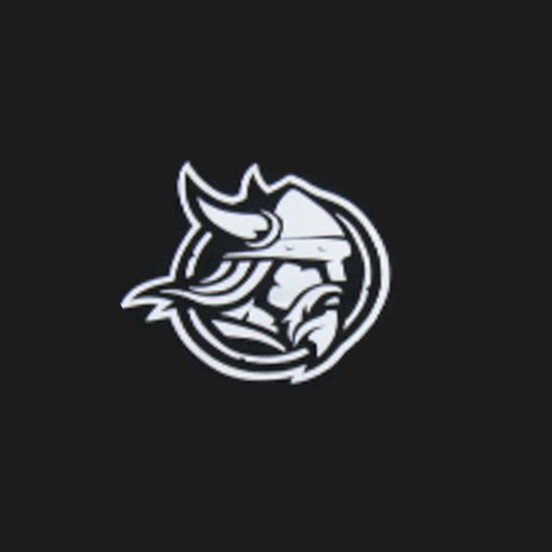 Bethany Vikings