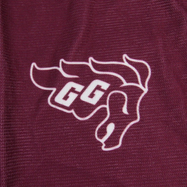 Ottawa Gee-Gees