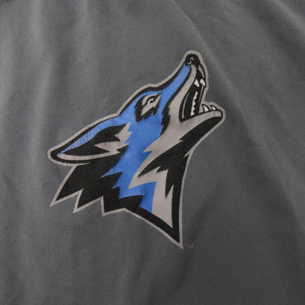 CSUSB Coyotes