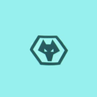 Wolverhampton Wanderers