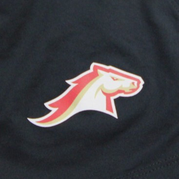 Birmingham Stallions