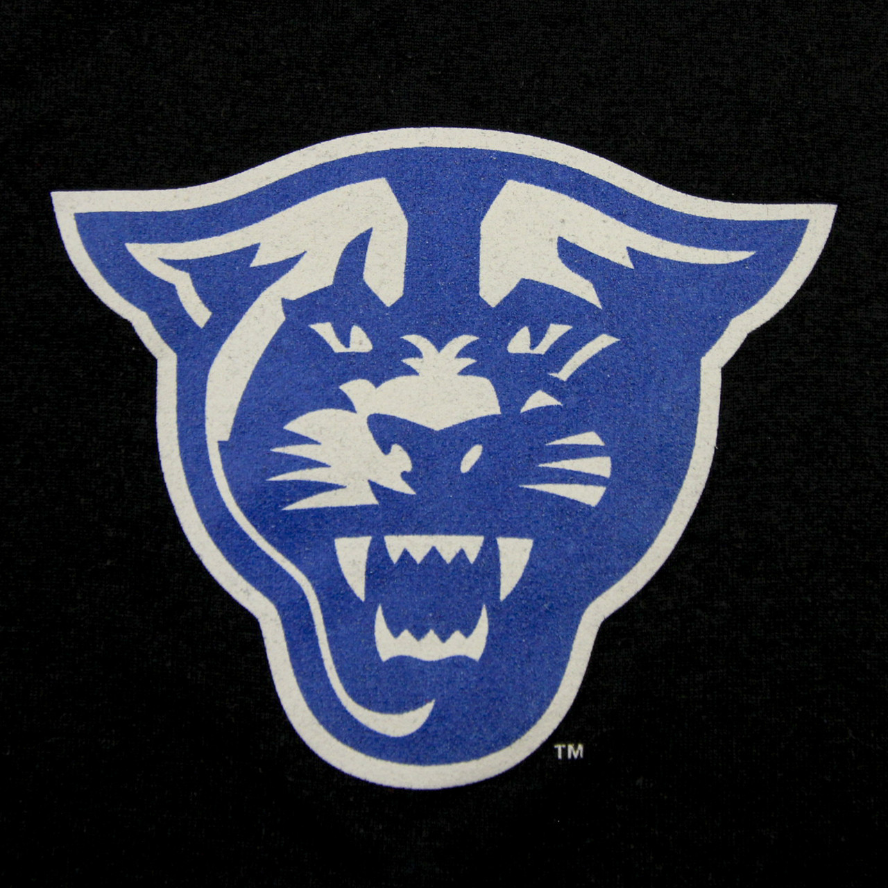 Georgia State Panthers