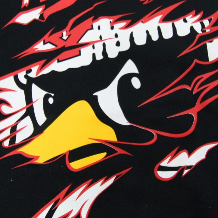 Youngstown State Penguins