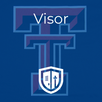 Visor