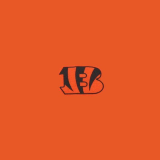Cincinnati Bengals
