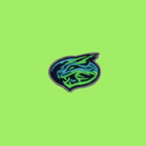 Lynchburg Hillcats