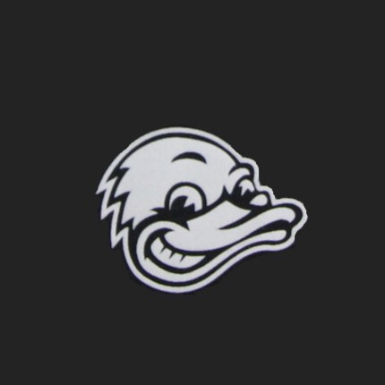 Stevens Ducks
