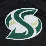 Sacramento State Hornets