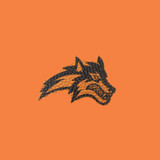 Stony Brook Seawolves