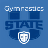 Gymnastics