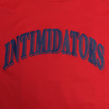 Kannapolis Intimidators