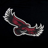 St. Joseph Hawks