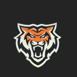 Idaho State Bengals