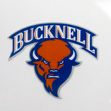 Bucknell Bison