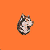 Northeastern Huskies
