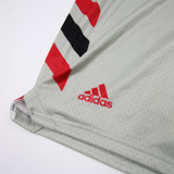 NIU Huskies adidas Practice Shorts Women's Gray New without Tags S SHOR-032067