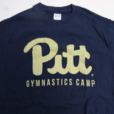 Pittsburgh Panthers Gildan Heavy Cotton Short Sleeve Shirt Men's S TOPS-163927