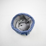 Indianapolis Colts New Era Winter Hat Unisex Light Gray Used LXL HATS-016219