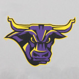 Minnesota State Mavericks