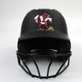 Softball Helmet