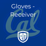 Gloves - Receiver