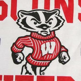 Wisconsin Badgers
