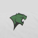 Chicago State Cougars
