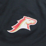 Birmingham Stallions