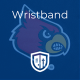 Wristband