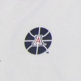 Arizona Wildcats