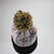 Providence Bruins Zephyr Headwear Winter Hat Unisex White Used OSFM HATS-017149