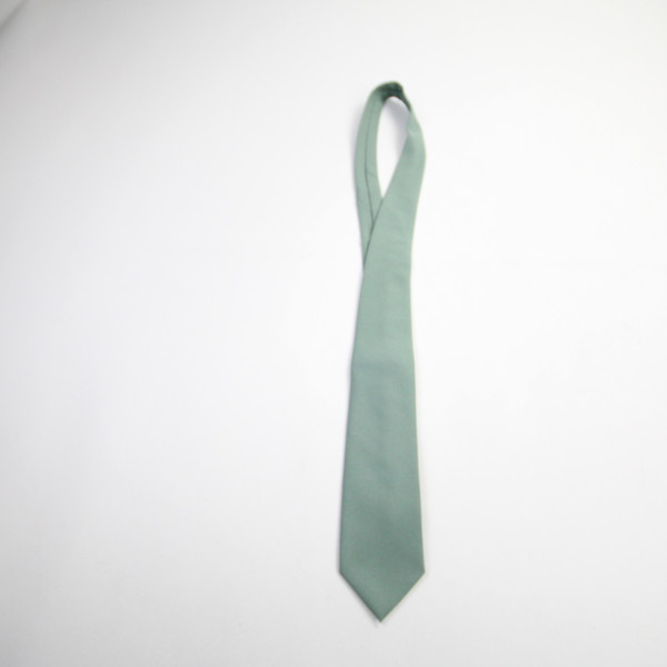 Unbranded Necktie Men's Green Used OSFA-ACCS-007549