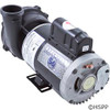 Pump WW Exec 4 HP 230V 1-Spd 56Fr 2-1/2" X 2" OEM