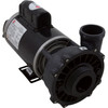 Pump WW Exec 4 HP 230V 1-Spd 56Fr 2-1/2" X 2" OEM 3711621-13