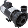 Pump WW Exec 4 HP 230V 2-Spd 56Fr 2-1/2" X 2" OEM 3721621-13