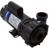 Pump WW Ex2 2.5 HP 230V 1-Spd 48Fr 2" OEM 3411020-1U
