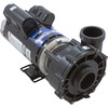 Pump WW Ex2 3 HP 230V 2-Spd 48Fr 2" OEM 3421821-1U