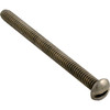 Screw Pentair American Products Sandpiper 1/4-20 x 3" 98211600