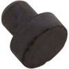 Plug Air Relief Astral Aster Filters